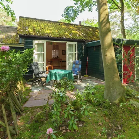 In The Middle Of The Gooise Landscape Holiday home Huizen
