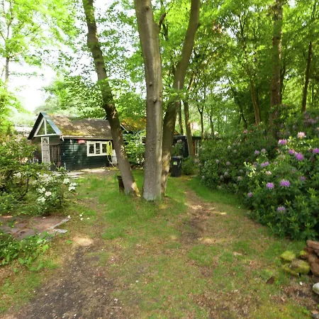 In The Middle Of The Gooise Landscape Holiday home Huizen