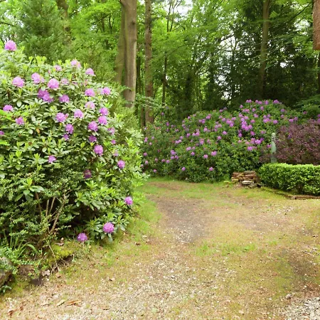 In The Middle Of The Gooise Landscape * Huizen