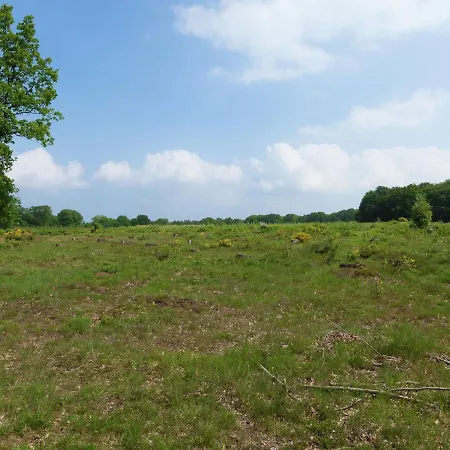 In The Middle Of The Gooise Landscape Huizen