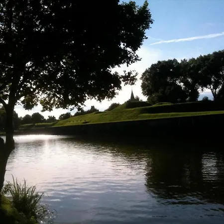 In The Middle Of The Gooise Landscape *