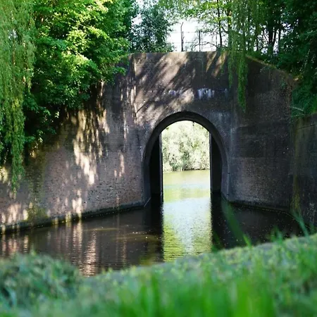 In The Middle Of The Gooise Landscape *